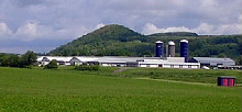 farm.JPG